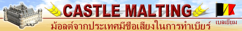Castle Malting คู่หูคุณด้านม้อลต์ที่มีคุณภาพ