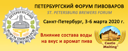 banner_RU_Forum_Peter_2020.jpg