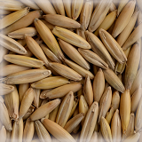 CHÂTEAU RAW OAT (AVENA CRUDA)