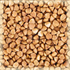 CHÂTEAU ΑΠΟ ΦΑΓΟΠΥΡΟ (BUCKWHEAT MALT)