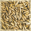 CHÂTEAU ΒΡΩΜΗΣ (OAT MALT)
