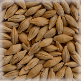 CHÂTEAU RAW BARLEY (生大麦)