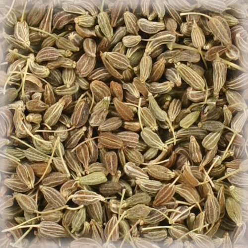 ANISE (PIMPINELLA) (5 KG)