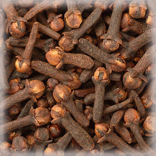 CLOVE (丁香)