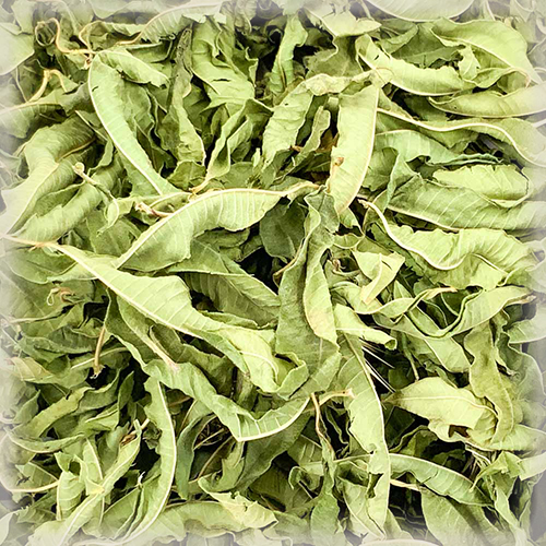 LEMON VERBENA LEAF (WHOLE) (1KG)