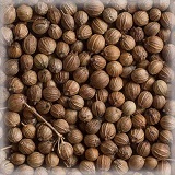 ΚΟΡΙΑΝΔΡΟΣ (SEEDS) (1KG)