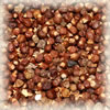 GRAINS OF PARADISE (非洲荳蔻) (5KG)