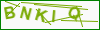 Sikkerhedskode