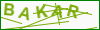 Sikkerhedskode