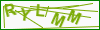 セキュリティコード