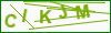 Sikkerhedskode