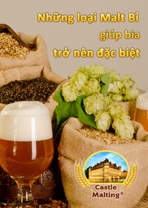 Castle Malting Brochure in Vietnamese (40 pages)
