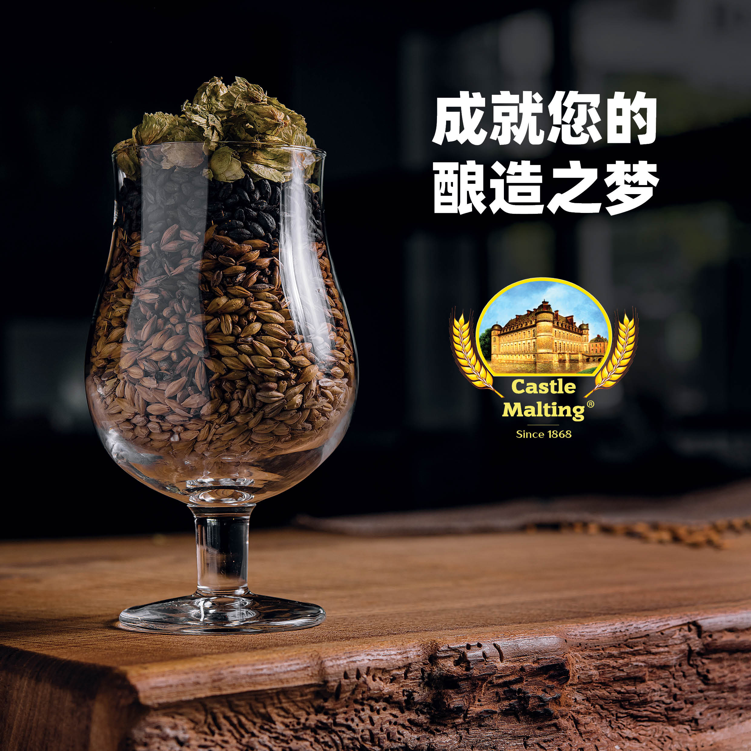 Castle Malting Brochure in Chinese (110 pages)