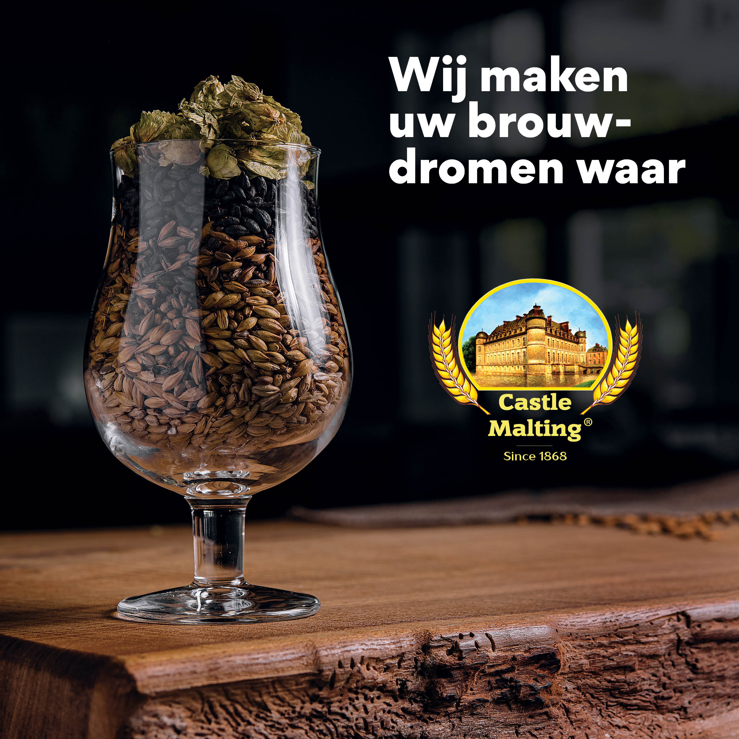 Castle Malting Brochure in Dutch (44 pages)