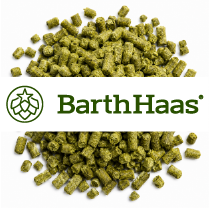HALLERTAU HERSBRUCKER (DE) Pellets T90 (5KG)