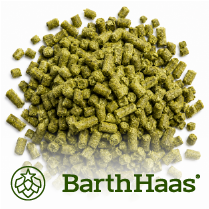 HALLERTAU HERSBRUCKER (DE) Pellets T90 (5KG)