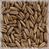 MALT CHÂTEAU OAT NATURE® (HAFERMALZ BIO)