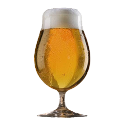 Gruit_Beer_256x256.png