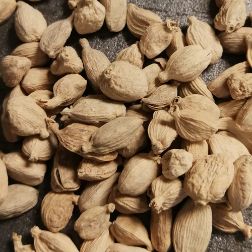 Frutos de cardamomo blanco (1KG)