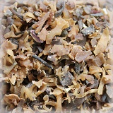 ΙΡΛΑΝΔΙΚΑ ΚΟΚΚΙΝΑ ΦΥΚΙΑ (IRISH MOSS) (10KG)