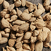 CARDAMOMO (BLANCO) (1KG)