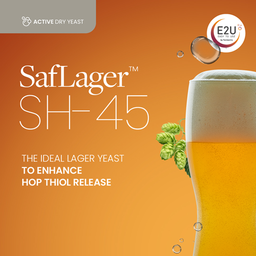 SAFLAGER SH-45 (1x10kg bag)